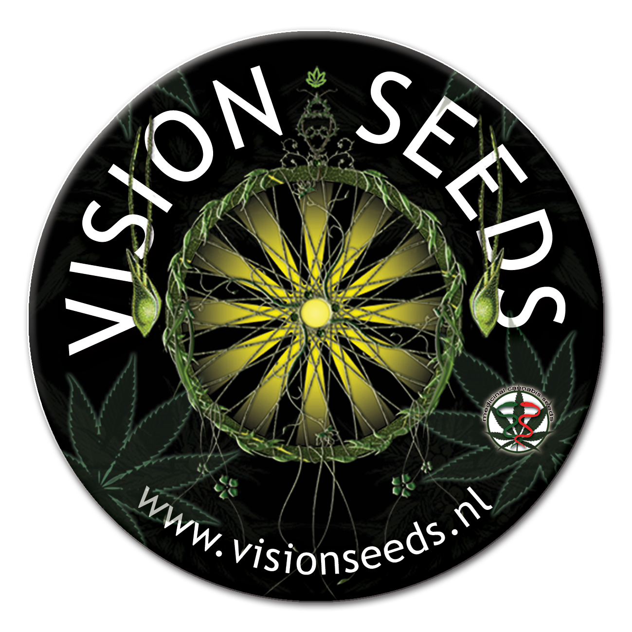 vision seeds